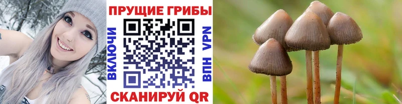 Псилоцибиновые грибы ЛСД  Купить где  Анжеро-Судженск 