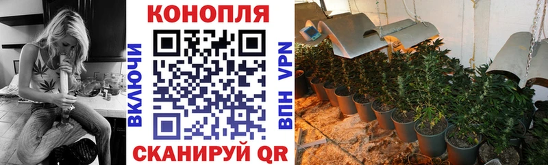 Канабис ГИДРОПОН Анжеро-Судженск